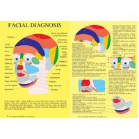 Facial Diagnosis A4