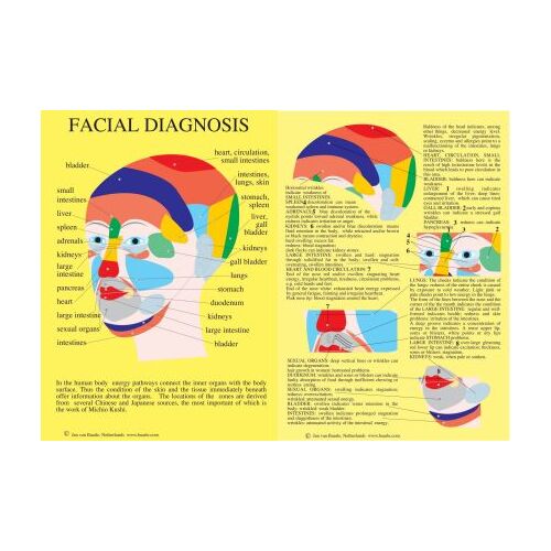 Facial Diagnosis A4