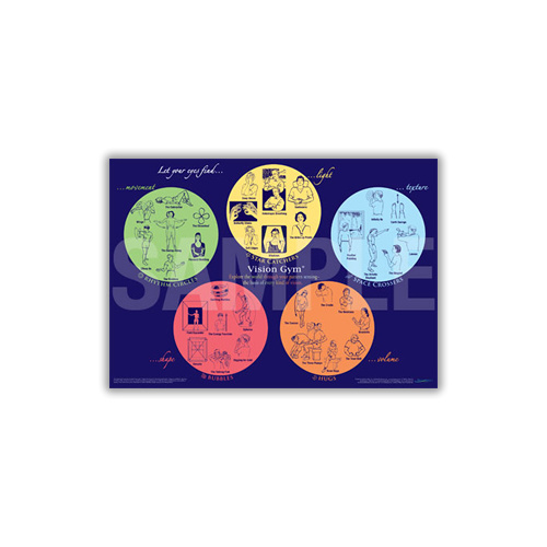 Vision Gym Chart